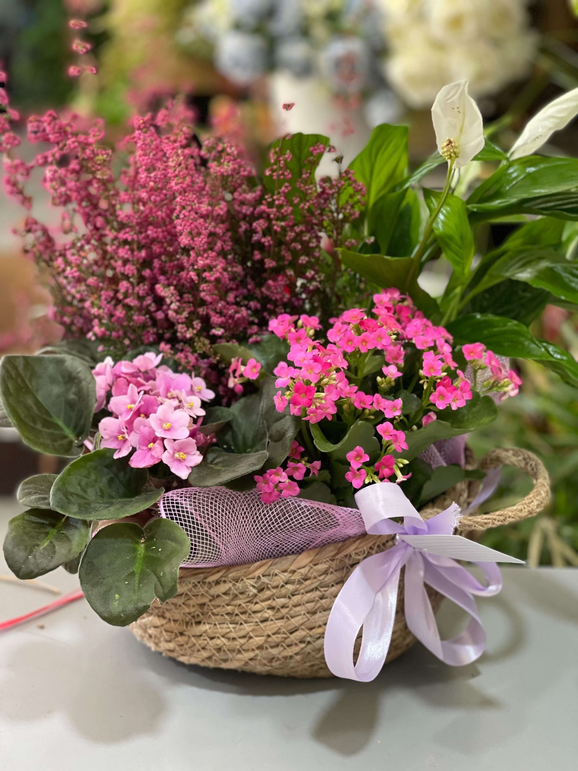 composición de plantas florales de colores rosa