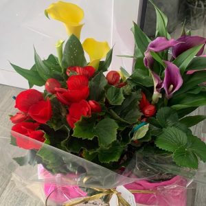 cajita con plantas variadas de flores de diferentes colores